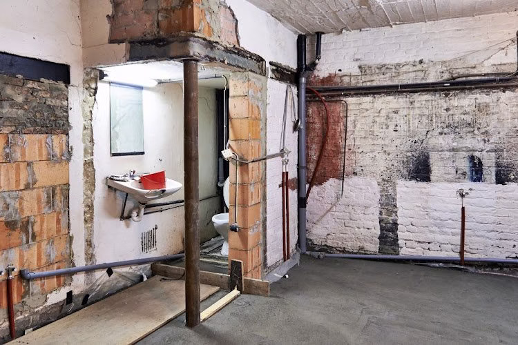 194941 mold removal indianapolis