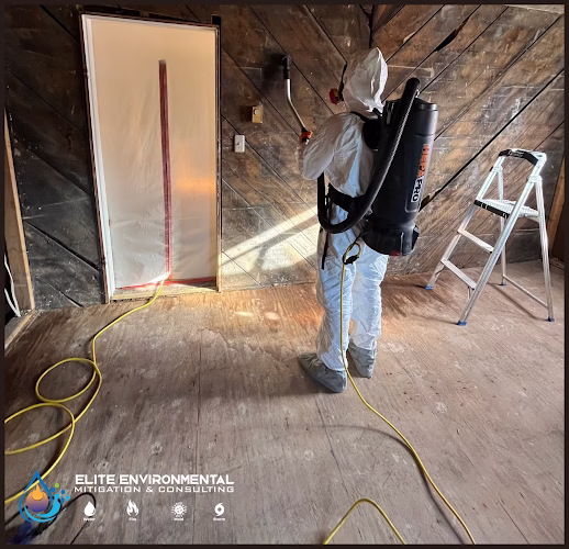 194993 elite environmental