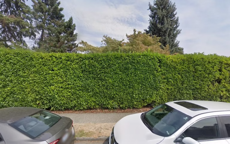 195049 first response water damage repair 1 768x480