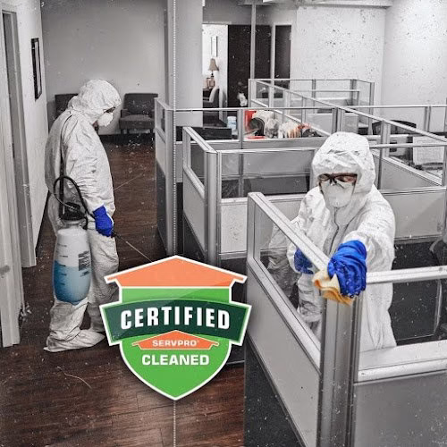 195104 servpro of bellevue