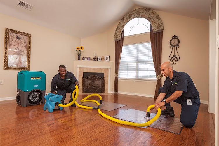 195528 water damage las vegas