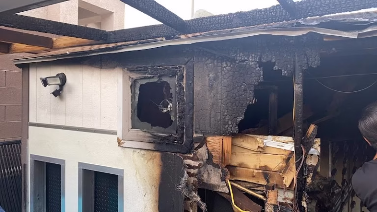 195577 carpet care 768x432