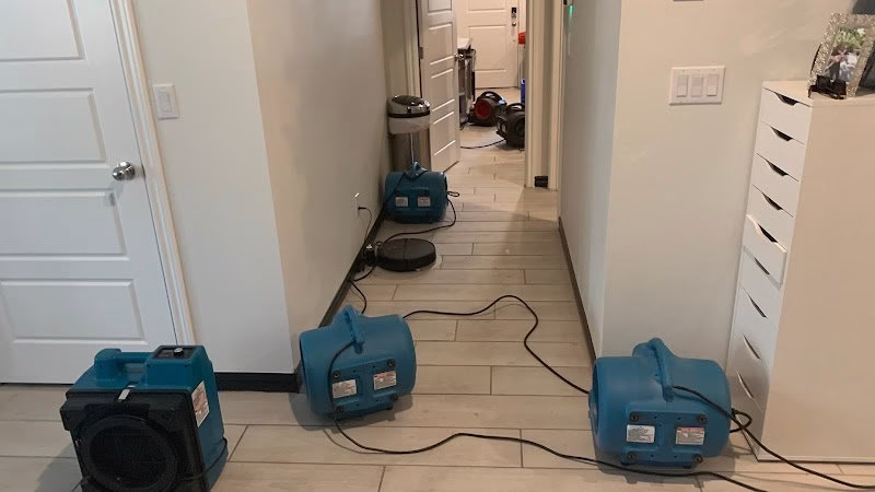 195595 ready flood restoration