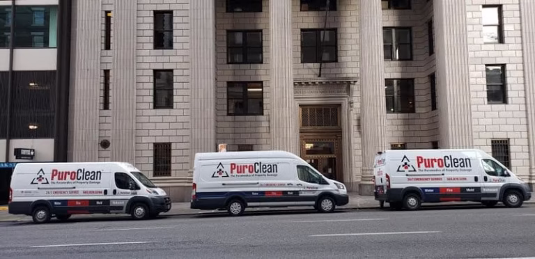 195686 puroclean of clackamas 768x372