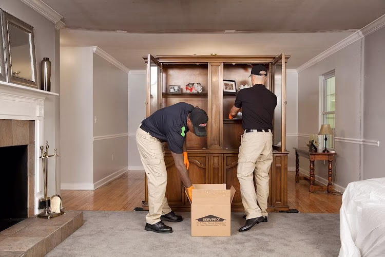 195760 servpro of romulustaylor