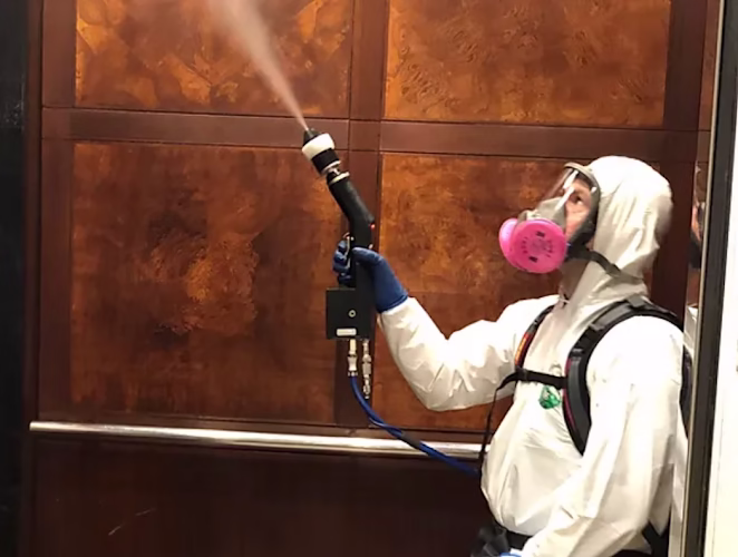 196061 clear restoration and predisaster consulting