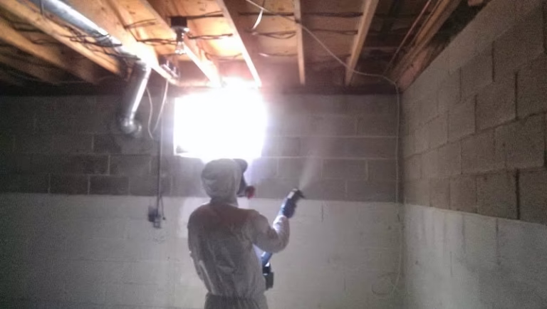 196079 auntiegen mold removal in milwaukee 768x434