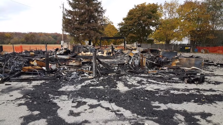 196106 absolute dki 768x432