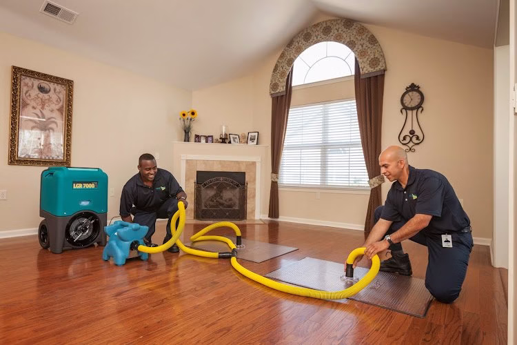 196212 servicemaster at fresno