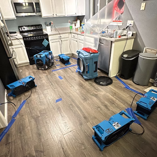 196465 true resolve restoration