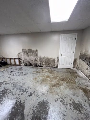 196503 restopros of kansas city