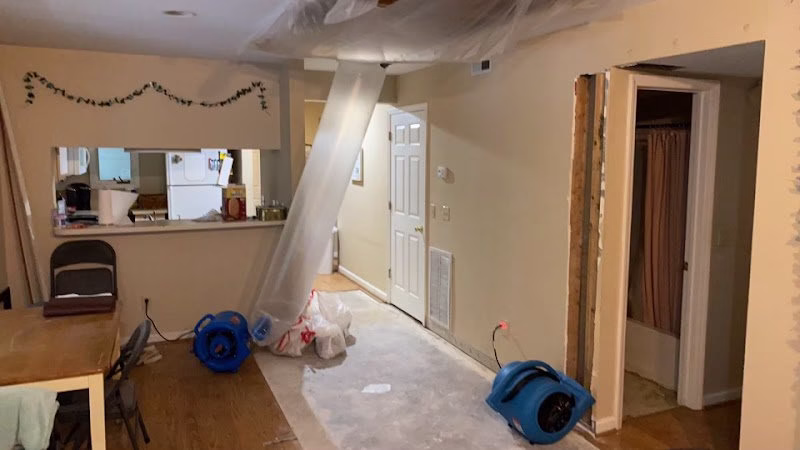 196703 first choice experts