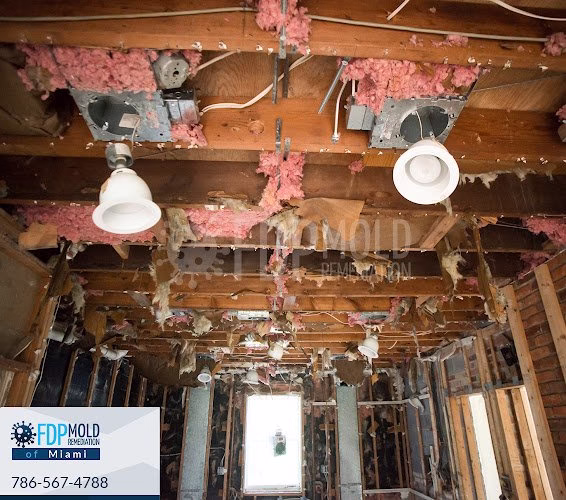 196864 fdp mold remediation of miami