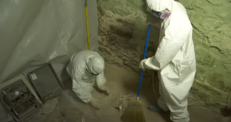 196887 urgent mold removal miami 768x408