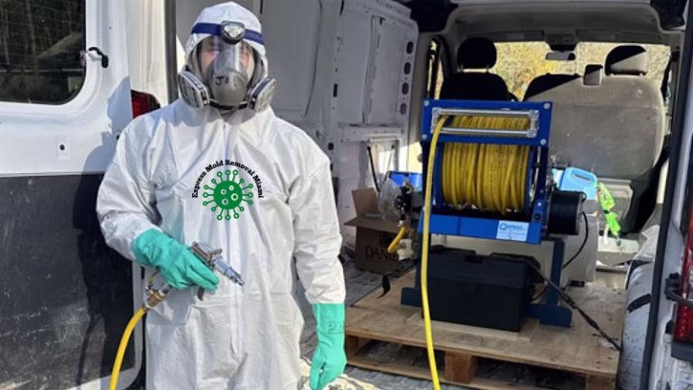 196913 express mold removal miami 768x432