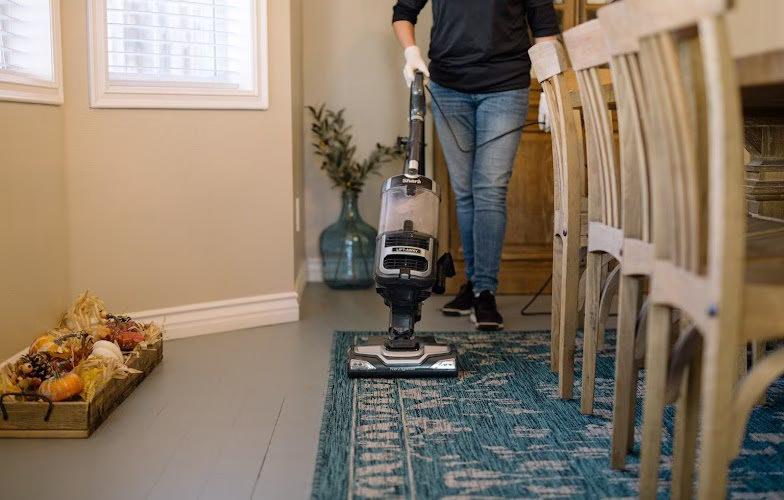 197050 cleaning dino little rock