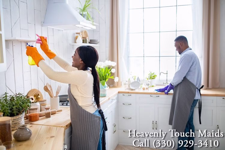 197078 heavenly touch maids