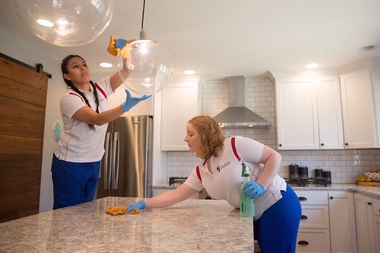 197221 tessa cleaning services