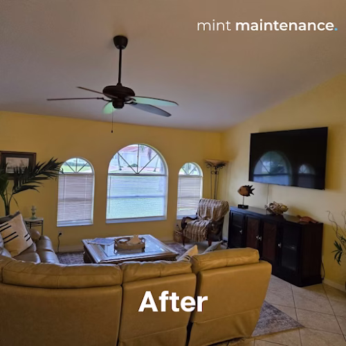 197332 mint maintenance