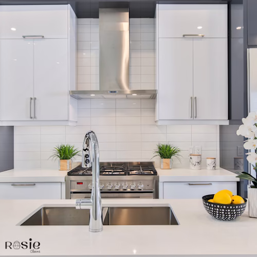 197360 rosie cleans huntsville