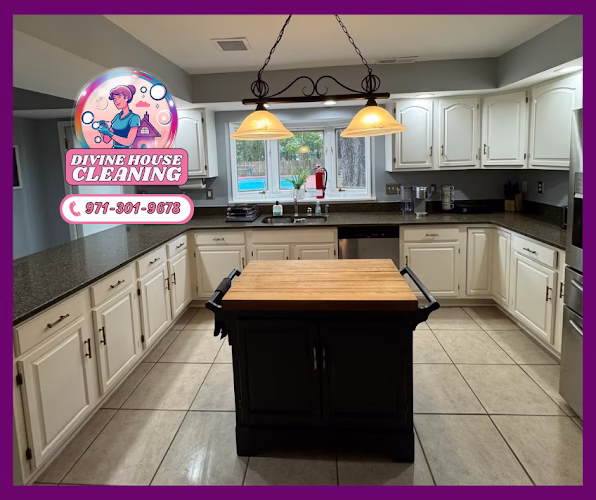 198069 divine house cleaning commercial office cleaning service