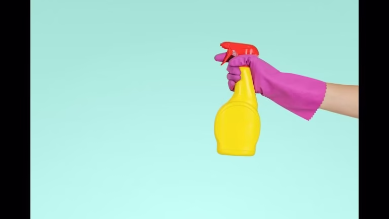 198120 top of the class clean 768x432