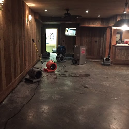 198254 action property services