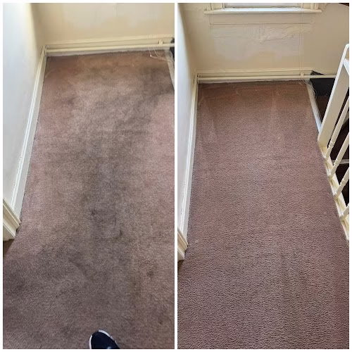 198512 deep steam 8211 carpet cleaning floor care rug cleaning shop restoration water mold fire of clarksville