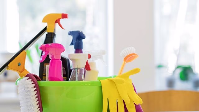 198646 maria cleaning services