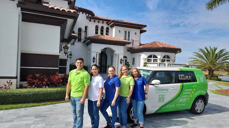 198652 ng solutions cleaning