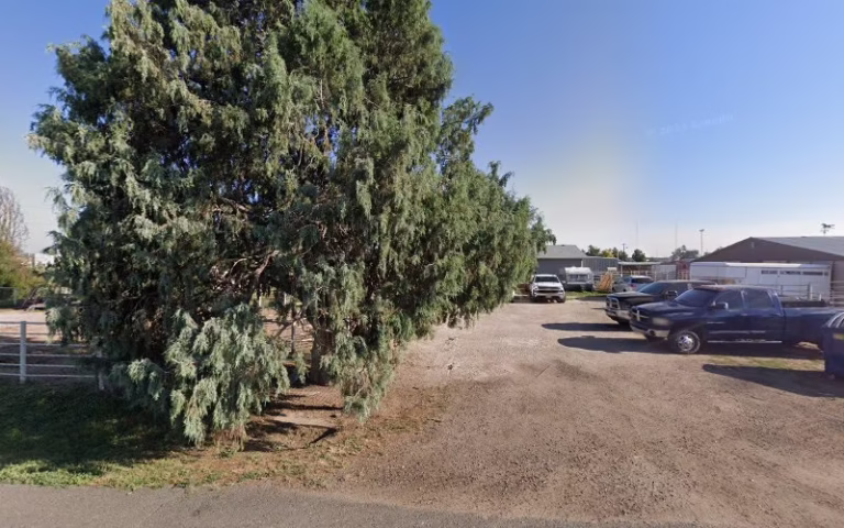 201657 lisa electrical services 1 768x480