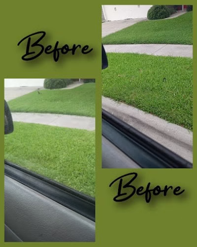 202641 mr g lawn barber