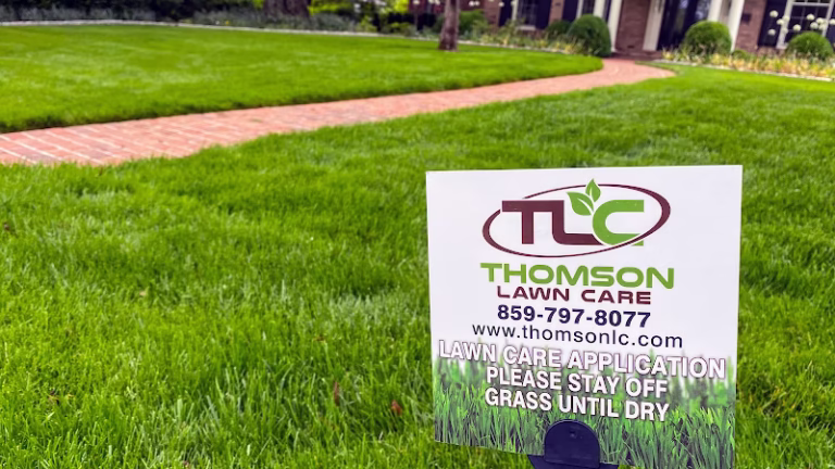 202656 thomson lawn care 768x432