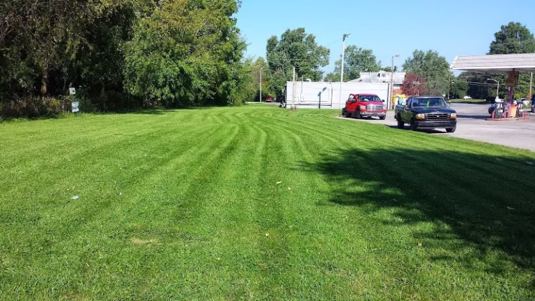 202672 mow yo yard . llc 768x432