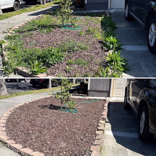 202715 legacy lawn care landscaping