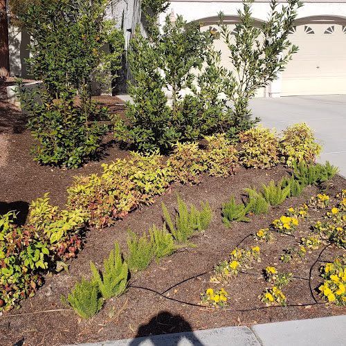 202759 bully lawn service