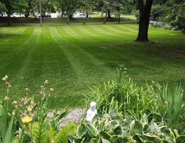 202771 daves green thumb lawn care