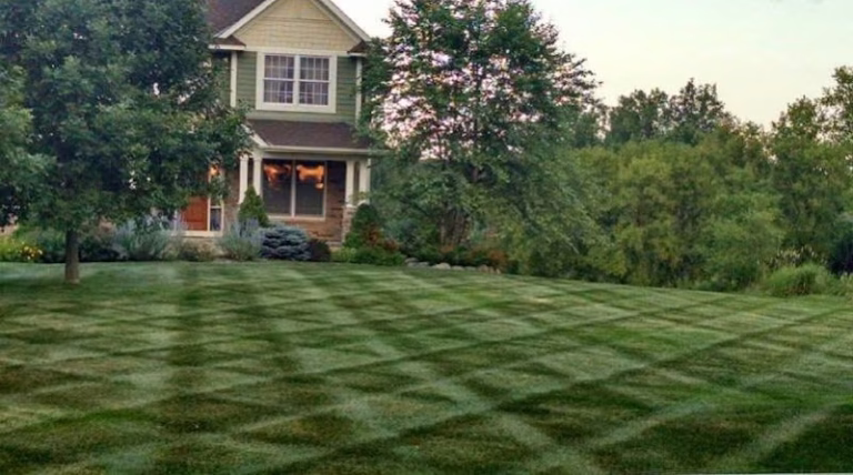 202787 nu life lawn care 768x428