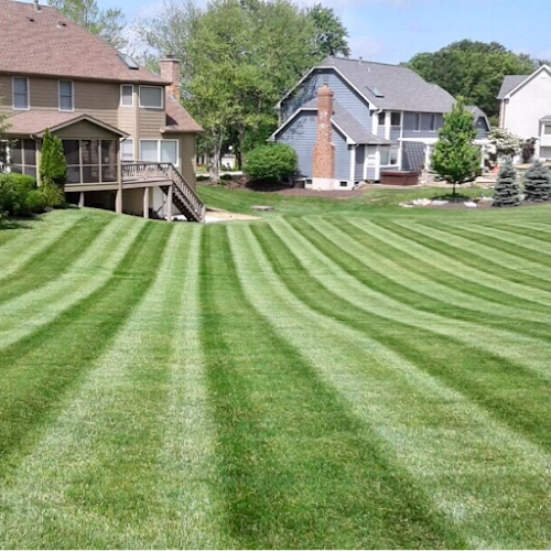 202877 t and t lawn care
