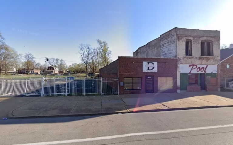 202890 leaf free lawn care 1 768x480