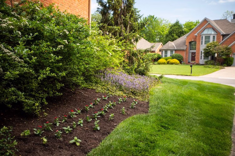 202954 oasis turf tree