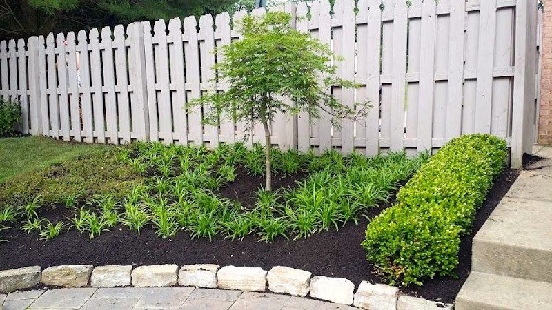 203025 an lawn service inc