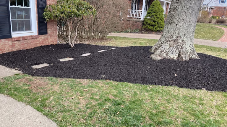 203034 davissons lawn care llc 768x432