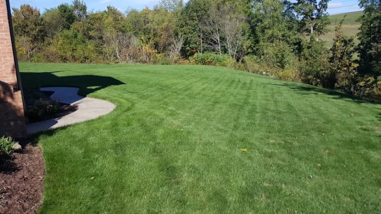 203074 lawn armor lawn treatment company 768x432