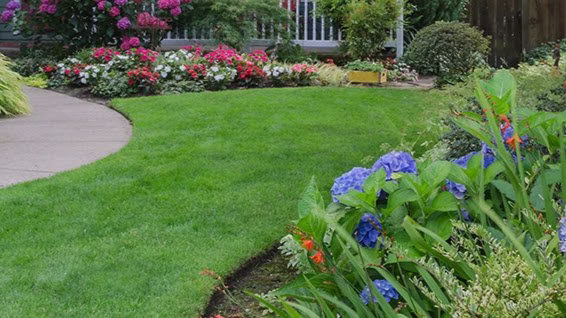 203157 camden landscape group