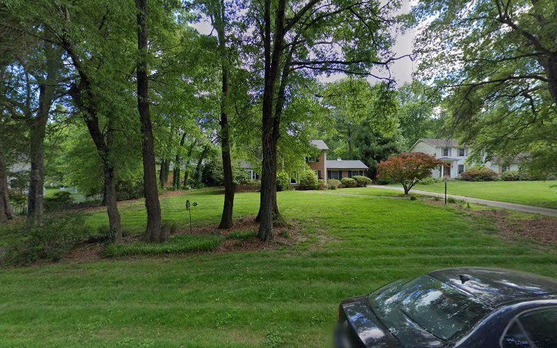 203159 dandy lion king 1