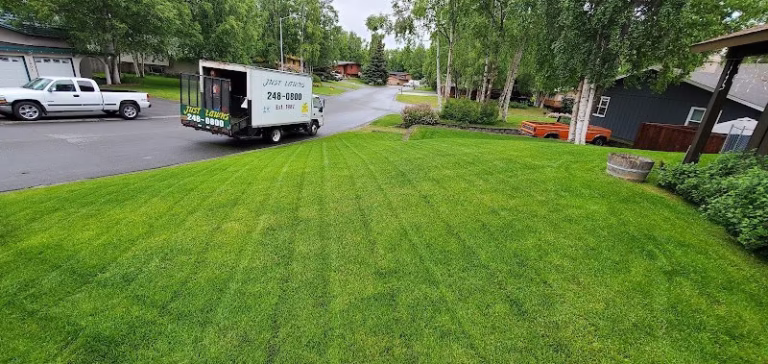 203183 just lawns 768x364