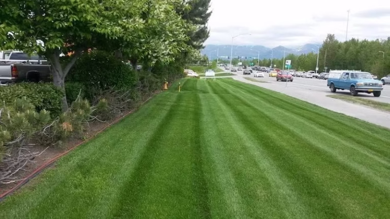 203206 anchorage blade runners 768x432