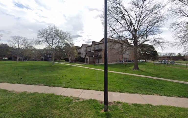 203285 lawn starr 768x480