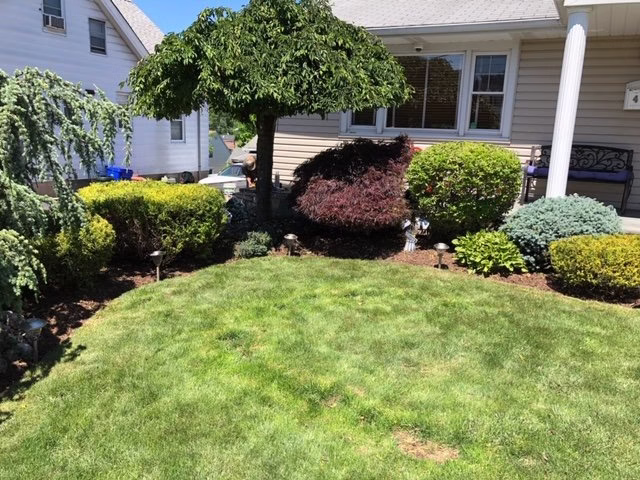 203426 rojas lawn maintenance